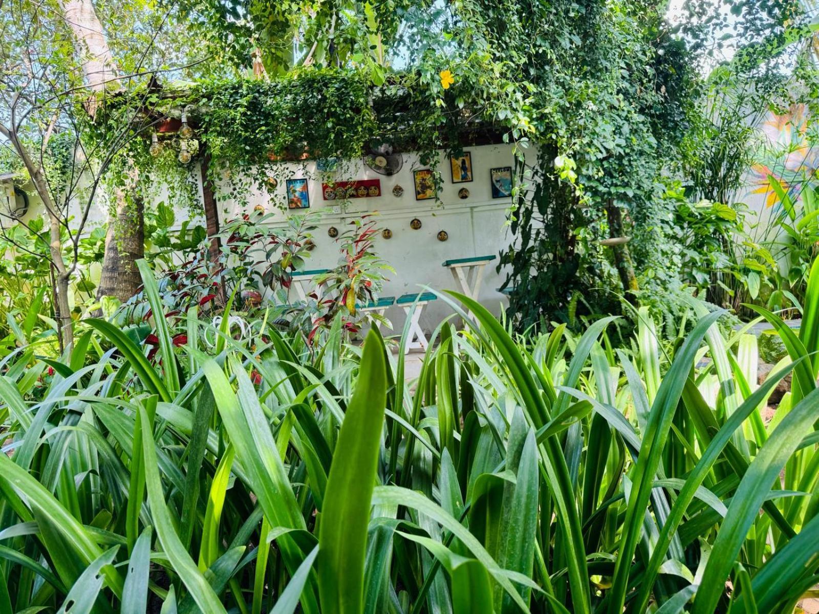 Double Mango Villa Katunayaka Bagian luar foto